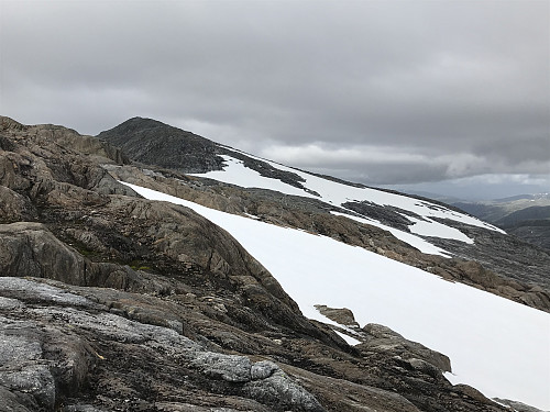Vistkjerringa kommer til syne
