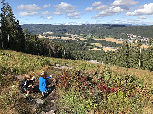 Nesten på toppen av Varingskollen