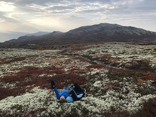 Pause i mosen på vei tilbake mot hytta.