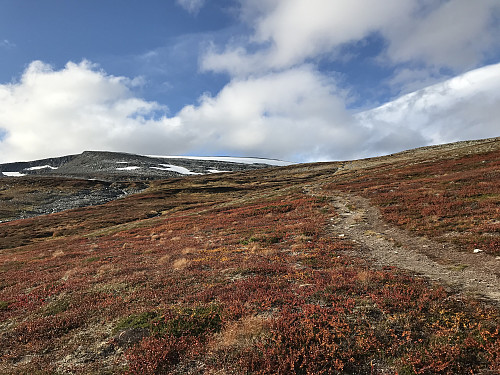 Toppen i sikte. Her har jeg kommet omtrent halvveis.