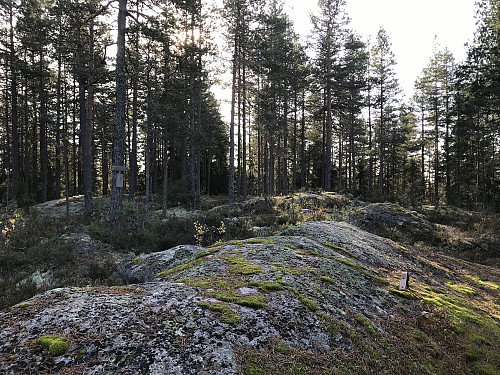 Den nordlige toppen på Lønndalshøgda var betydelig flottere enn sin lavere nabo noen hundre meter lenger sør