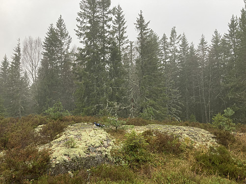 Dagens første stopp Langmyråsen