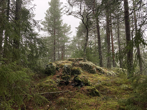 Mørkåshøgda 