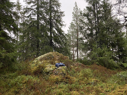 Jarseteråsen hadde to høyder som så omtrent like høye ut. Dette er den sørligste.