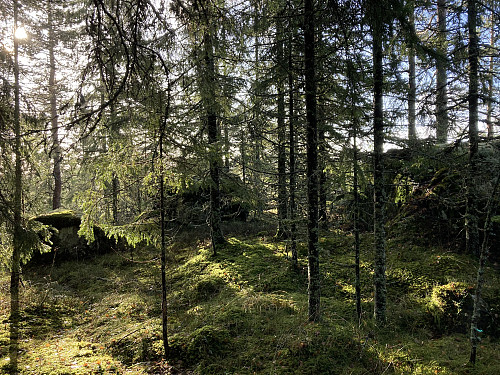 Store steiner mellom toppunktene på Trollseteråsen