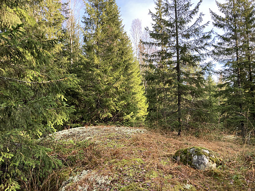 Ramndalskollen i Nittedal