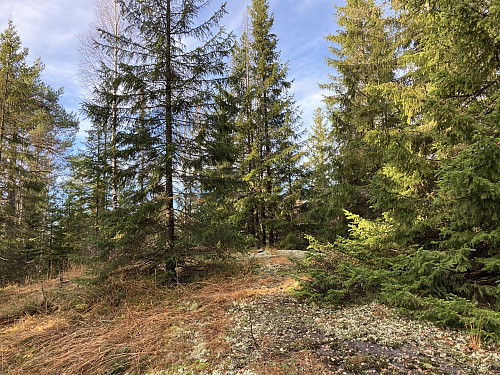 Ramndalskollen i Nittedal