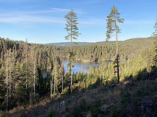 Bergstjernet sett fra stien
