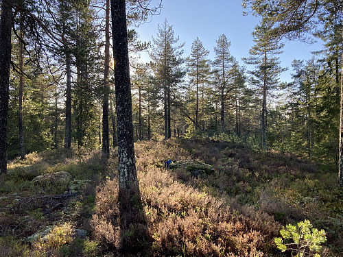 Skutberget i Nittedal
