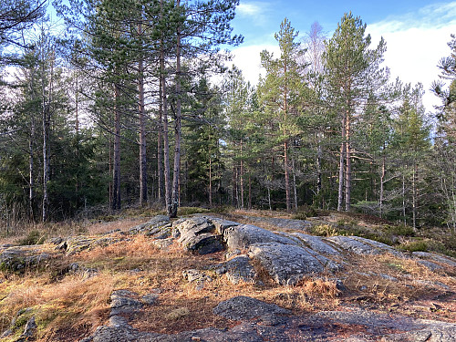 Toppen av Skjettenåsen er åpen, men uten utsikt
