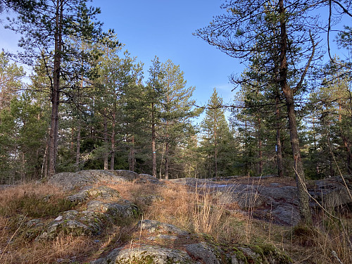 Toppen av Skjettenåsen er åpen, men uten utsikt
