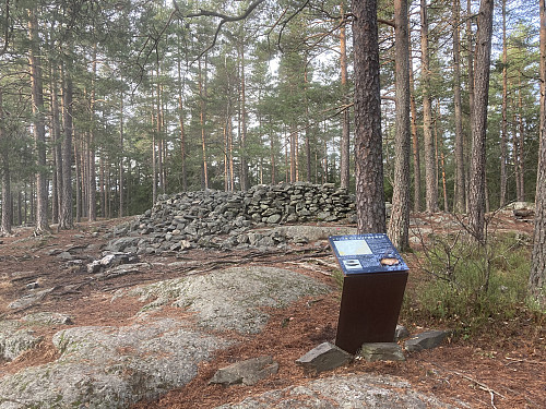 En av mange gravrøyser i området