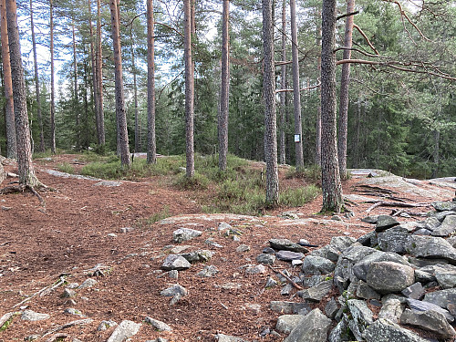 En av mange gravrøyser i området
