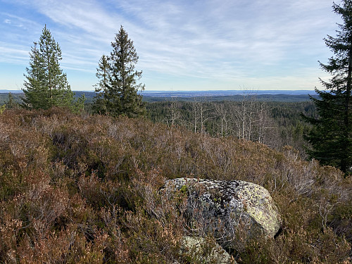 Vid og fin utsikt fra toppen av Tøyenhøgda
