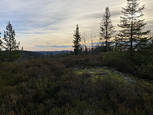 Tøyenhøgda i Nittedal