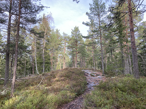 Slettfjellet øst for Nøklevannet