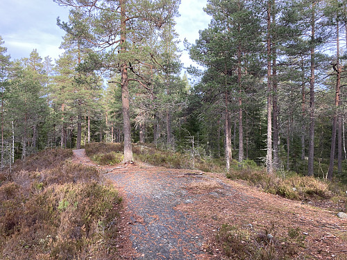 Slettfjellet er åpent og fint, men uten utsikt