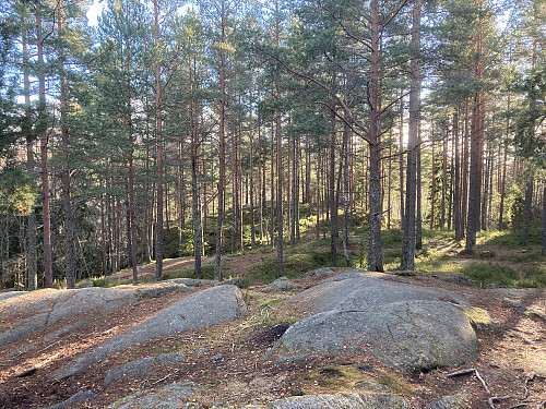 Stallerudåsen ved Rustadsaga