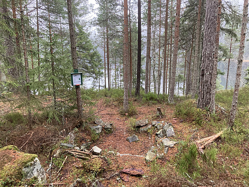 Fint rastested ved Søndre Kytetjernet