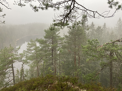 Rett ned på alle sider fra utsiktspunktet på Ørnehøgda nord. Overraskende flott topp!
