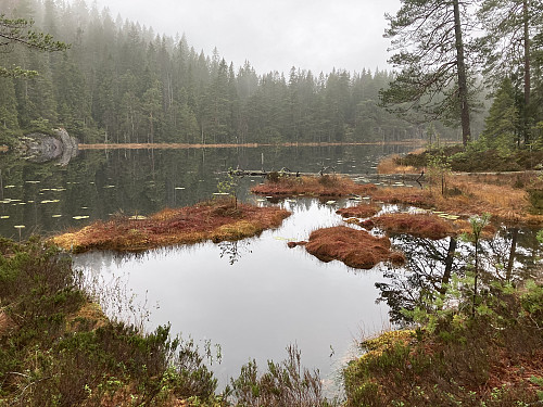 Idyllisk ved Nordre Kytetjern