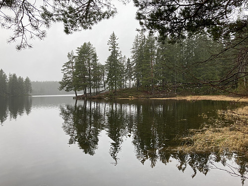 "Enketangen" ved Elvannet