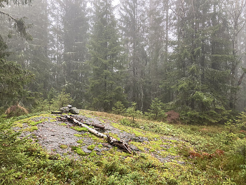 Vardetoppen på Elkollen. Herfra er det nok noe utsikt nordover på klare dager