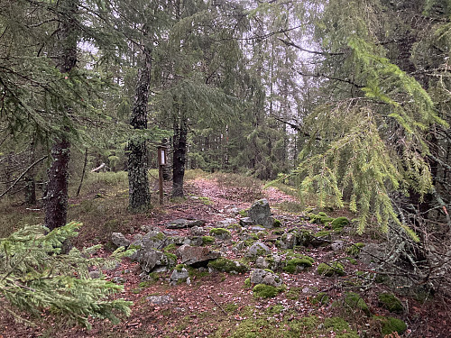 Trollsnesfjellet i Gjerdrum