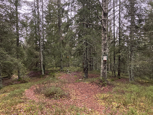 Trollsnesfjellet i Gjerdrum