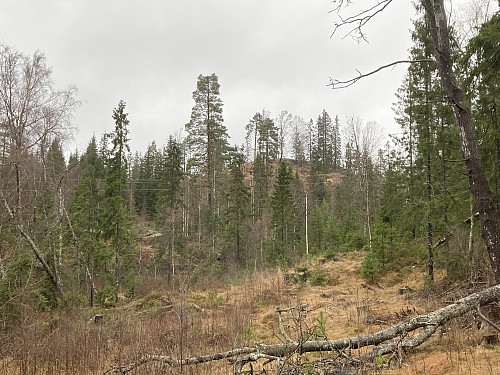 Pipåsen ses fra den blåmerkede stien