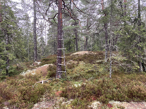 Mon tro hva denne stigen har vært brukt til?
