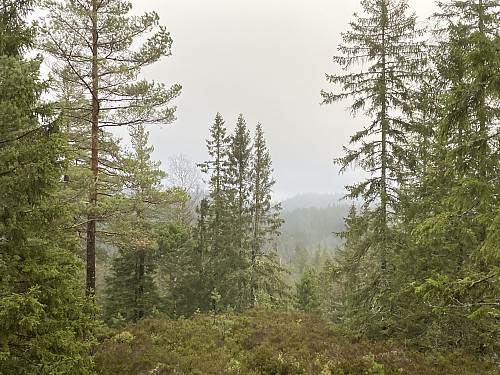 Noe utsikt fra Kåterudhøgda øst