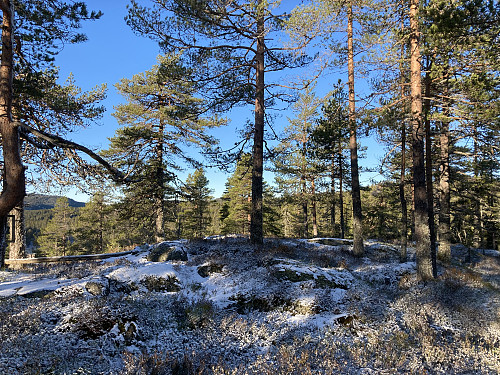 Toppen på Nybrenna. Bare 20 meter unna toppunktet står det ei hytte