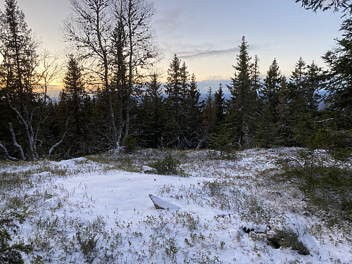 Stubbdalskampen er en åpen kolle med begrenset utsikt. 