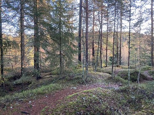 Noe utsikt østover fra toppen