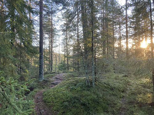 Det er flere jevnhøye hauger på toppen