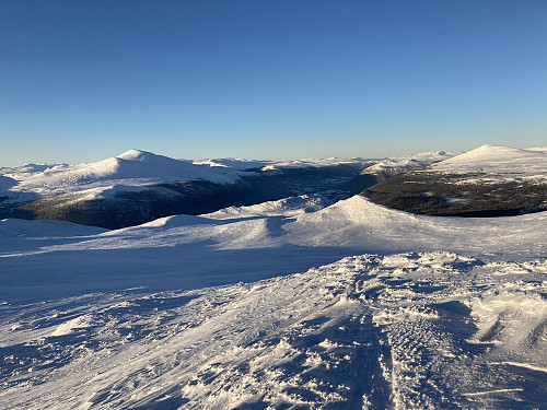 Utsikt nordover mot Dovreskogen fra toppen av Karihaugen