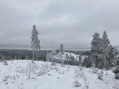 Fin utsikt sørover fra stigningen opp mot Veslesjølen