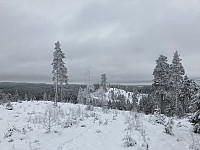 ØyvindBergkvam_20210329_60621395e871b.jpg