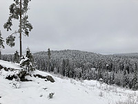 ØyvindBergkvam_20210329_6062139dd3b47.jpg