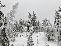 ØyvindBergkvam_20210329_606213a76b469.jpg