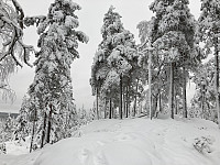 ØyvindBergkvam_20210329_606213b0aea23.jpg