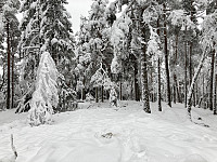 ØyvindBergkvam_20210329_606213c21f647.jpg