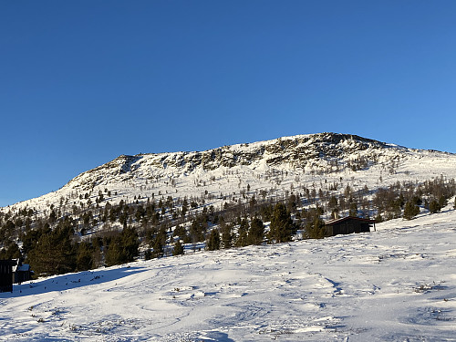 Vardhøe sett fra Høvringen