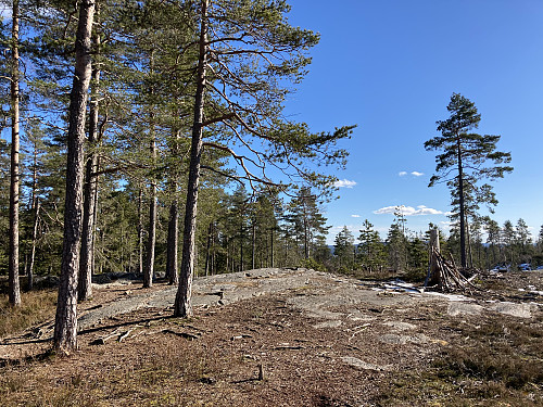 Bart og fint på toppen av Bergeråsen, men mye is på veien opp!