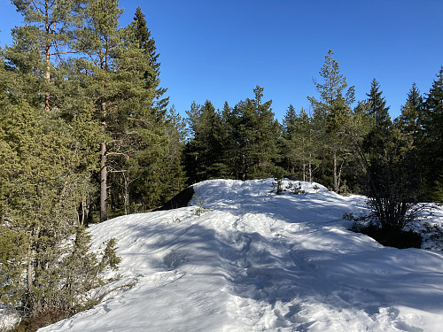 Toppunktet på Varden ligger litt inne i skogen