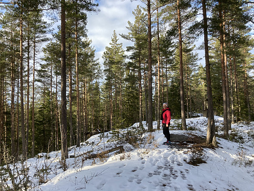 Brattåsen er en fin avstikker til turrunden rundt Heiavannet