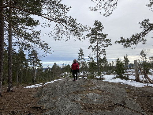 Toppen av Bergeråsen i Lillestrøm