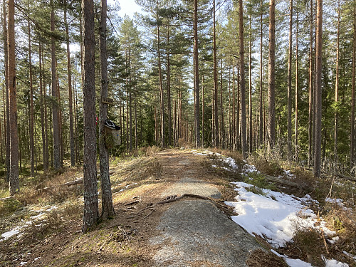 Brattåsen i Lillestrøm