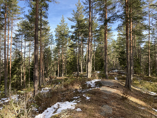 Brattåsen i Lillestrøm